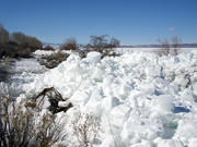 [Image: LINC-BEACH-GLACIER.jpg]