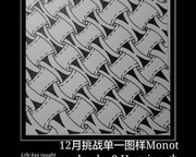 2174021-c0c8839a890548a5