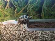 photo5242475564860813919