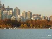 photo 12 2026 01 16 22 00 52