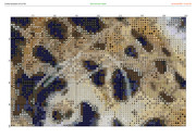2913246-crosti-ru-color-10