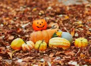 Pumpkins-0039