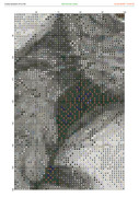 2882119-crosti-ru-color-10