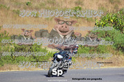IMG-2964