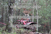 IMG-6342