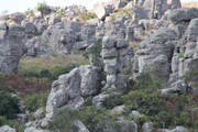 IMG-0079