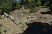 DSC-0049