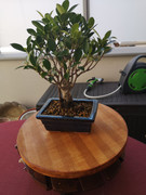 IMG-20200819-141440