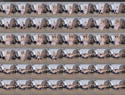 [Image: 24102024210218screenshot.jpg]