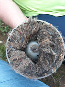 2F768693-0DFC-49F2-BD65-6E547209E1FB