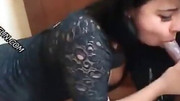 Zoo sex video features a brunette forced by a dog.mp4
