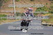 IMG-2393