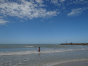 DSC01424