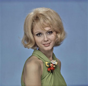 france-anglade-d42