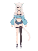 Version 2.0 Model (jacket)