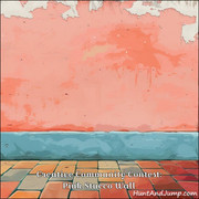 CCC Pink Stucco Wall