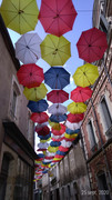 P-20200925-141506-p.jpg