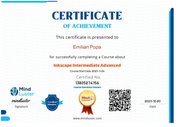 Inkscape Intermediate Advanced Mindluster_Certificate