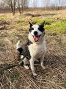 IMG_20230417_005412_966