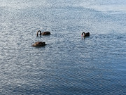 IMG20250101001930