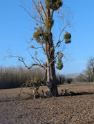 PXL 20260207 101128519