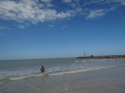 DSC01441