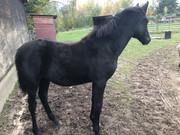 E770AC3C-294B-49C5-8752-80E822853818