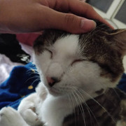 2018-05-31 05.47.29 1791393275658067565_338237262