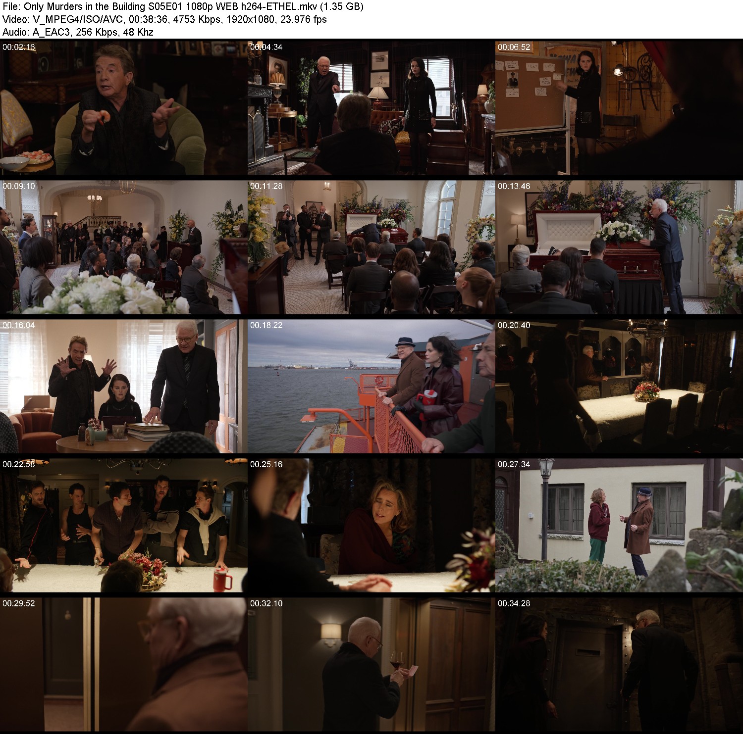 [Image: 6my8wush4z1f.jpg]