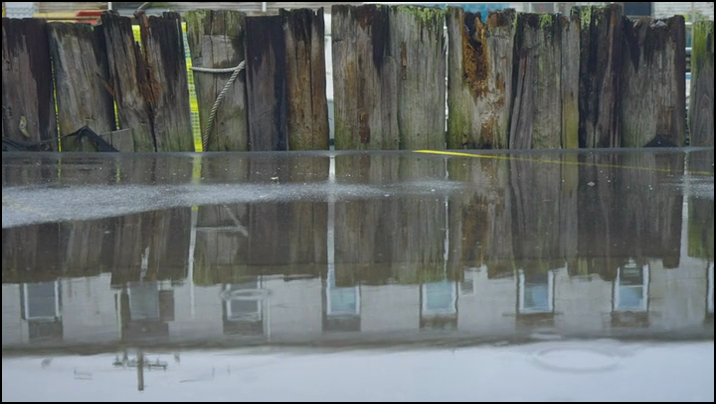 [Image: zg95mc9zf2xl.png]