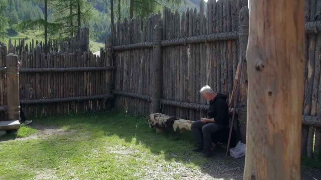 [Image: vwk0d5iwv90i.jpg]