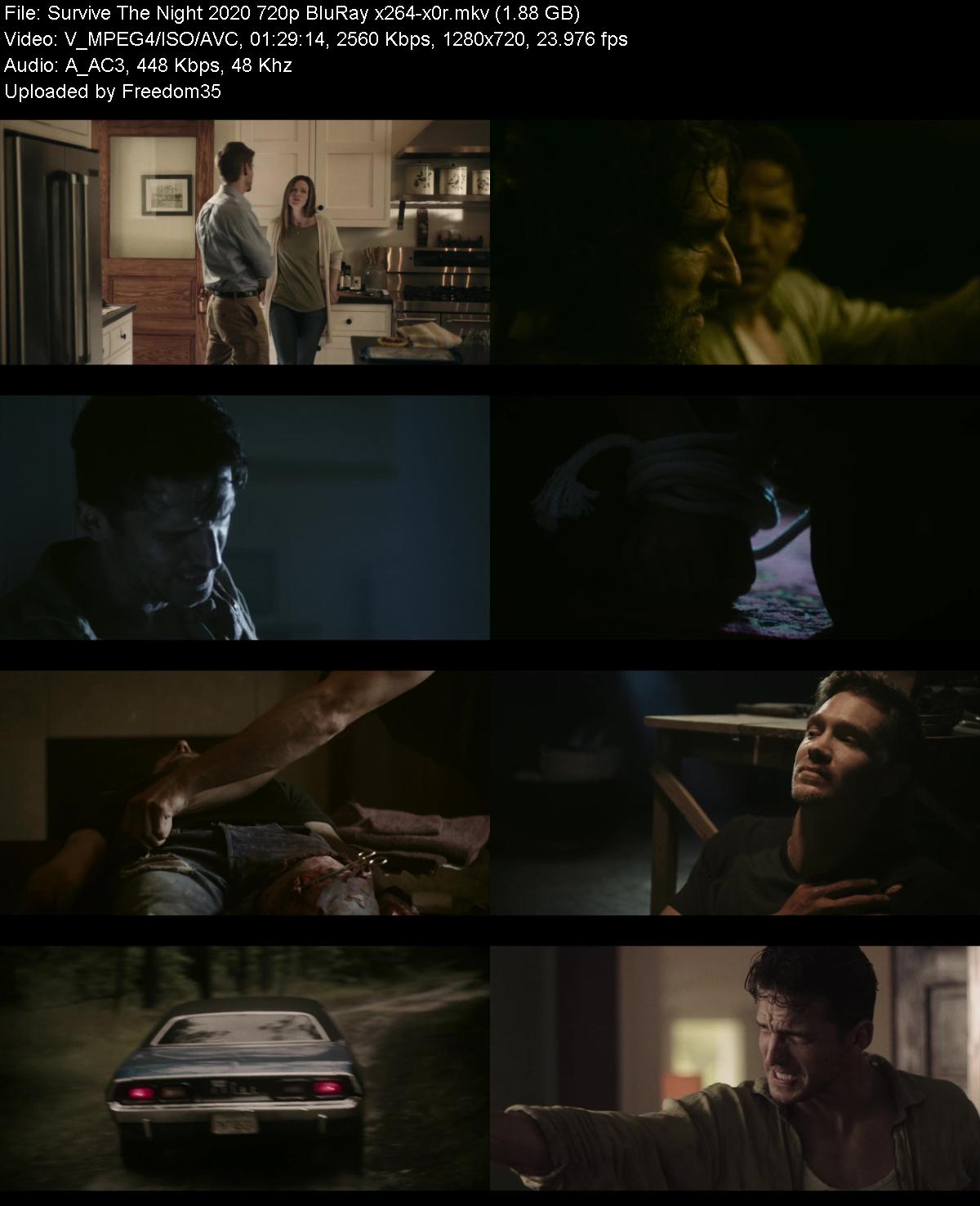 Survive-The-Night-2020-720p-Blu-Ray-x264