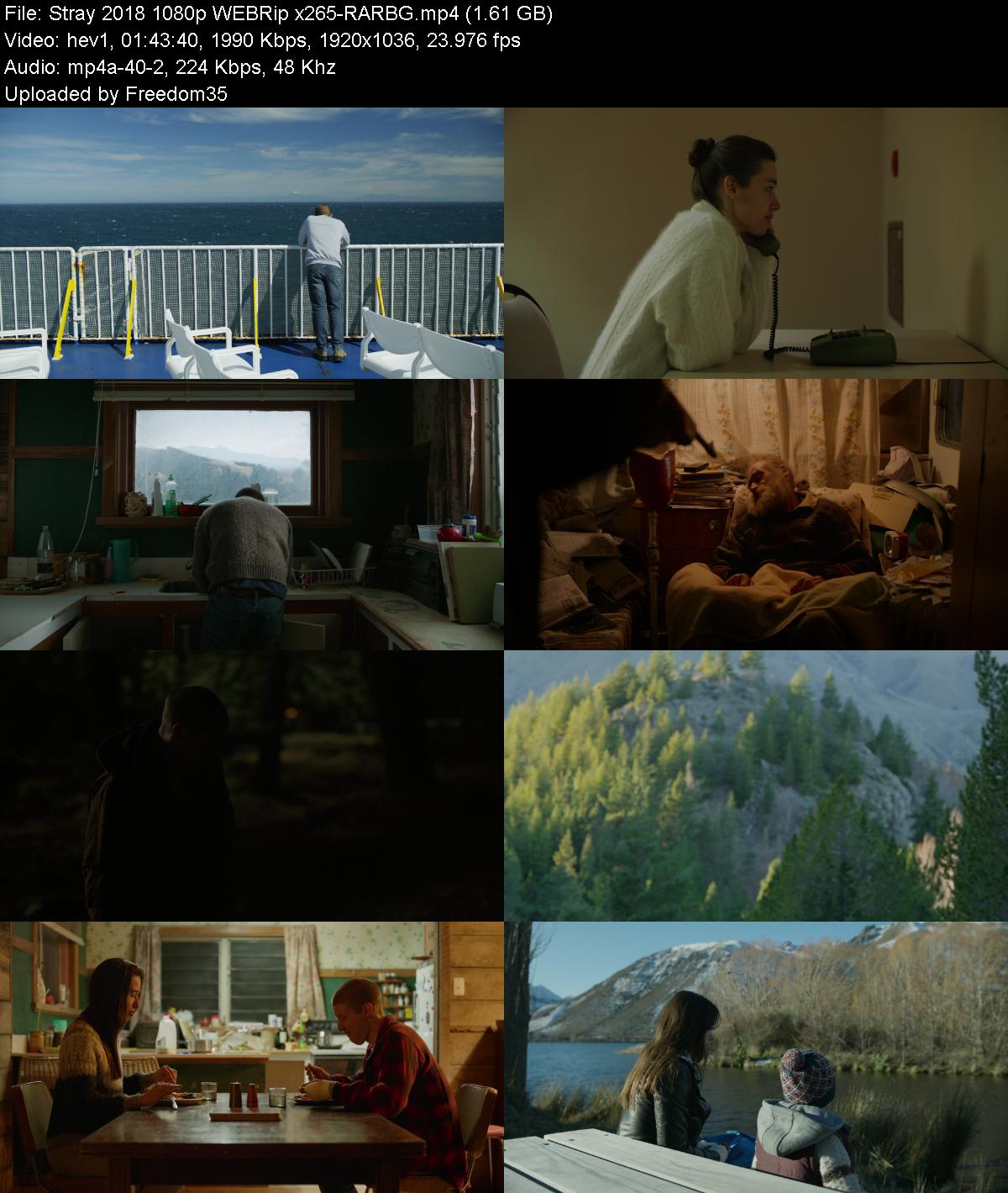 Stray-2018-1080p-WEBRip-x265-RARBG.jpg