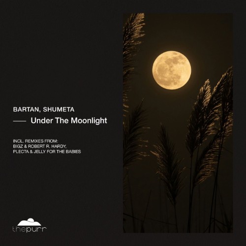 00-bartan-and-shumeta-under-the-moonligh