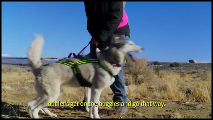 [Image: 01xgw5epah1y.png]