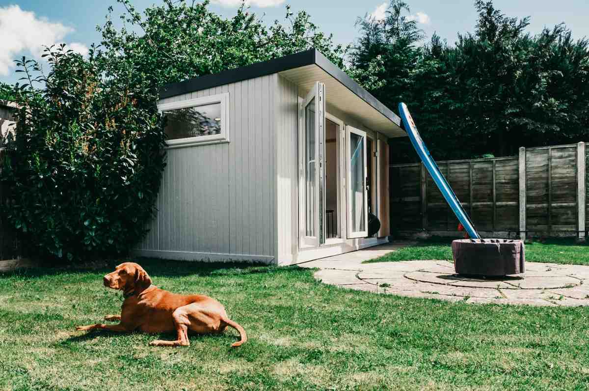 Home Garden Gym – Halesowen thumbnail 6