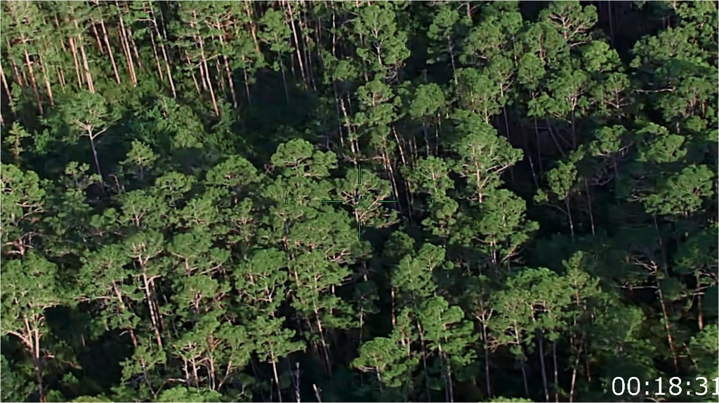 [Image: 8d8ntlk5z2vr.png]