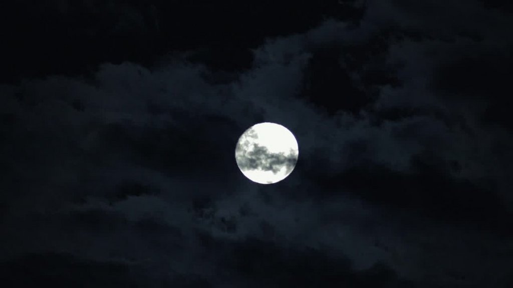 [Image: mo0bb8jwfo95.jpg]