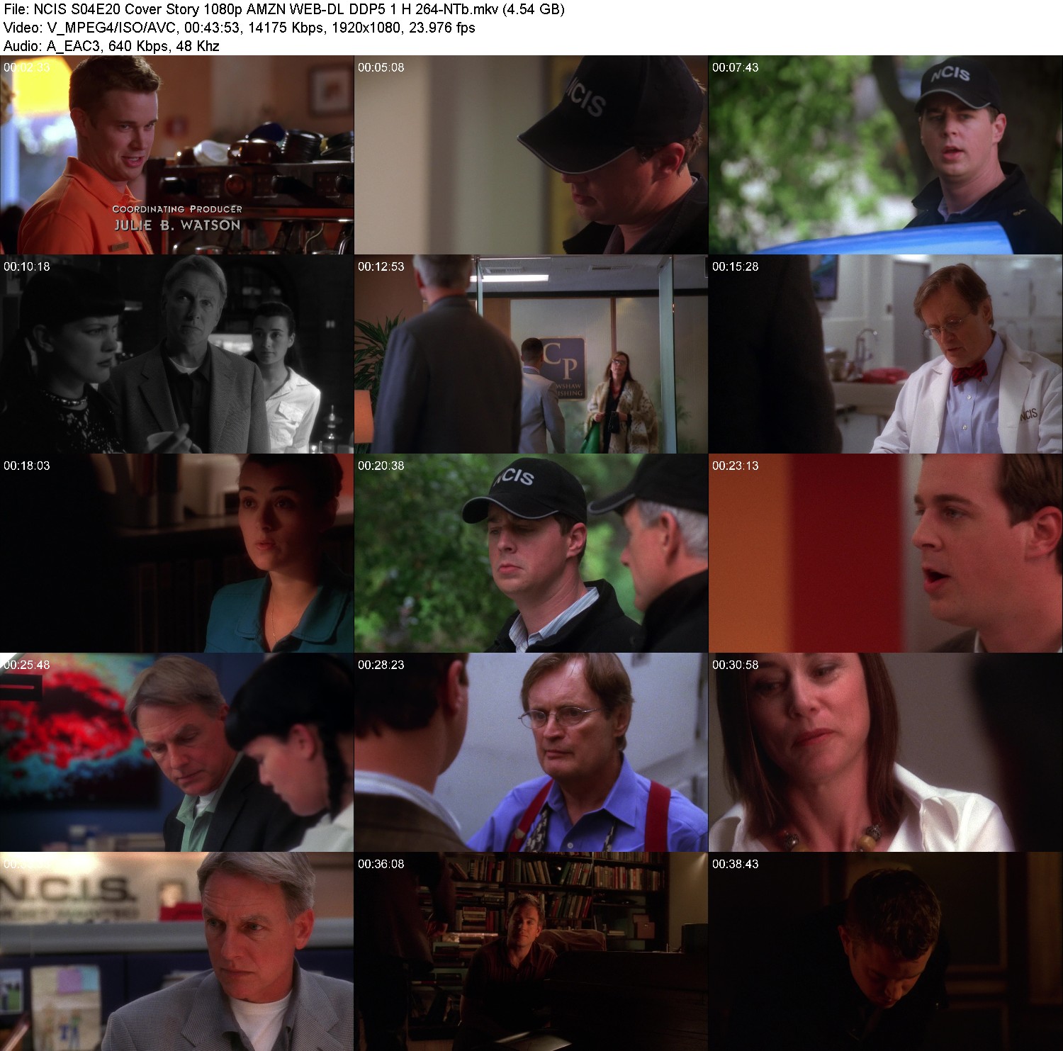 [Image: ch51tz47jtgk.jpg]