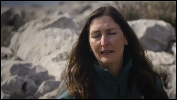 [Image: my255fo8otdt.png]