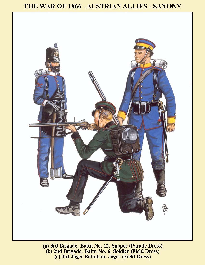 AUST-ALLIES-05.jpg