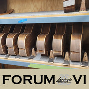 Larrivee- ForumVI-38