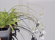 1C9FFDDD-891B-4A8A-A033-C4FB1F5833B1