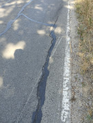 IMG-20240824-100410.jpg