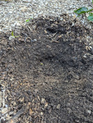 PXL_20240718_134247128