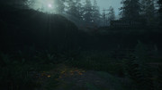 Alan-Wake2-2026-06-06-16-03-31-490