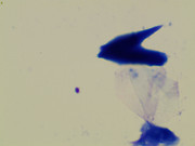 23207 177262 Into CNS 000004