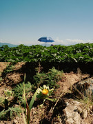 photo 3 2026 01 16 21 56 05