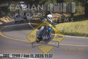 IMG-1200