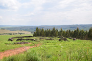 DSC-0218